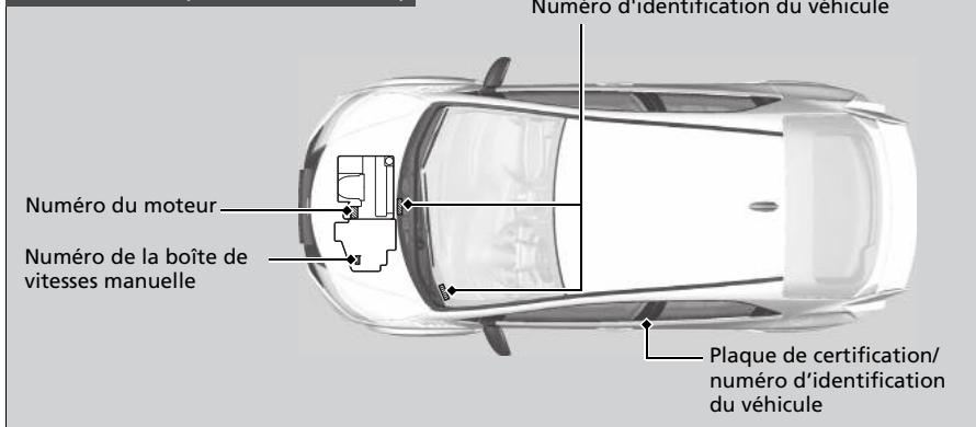 Honda Civic 9 Phase 1 (2012-2015) - Numero d'identification du vehicule (VIN), numero de moteur et numero de la transmission - 3