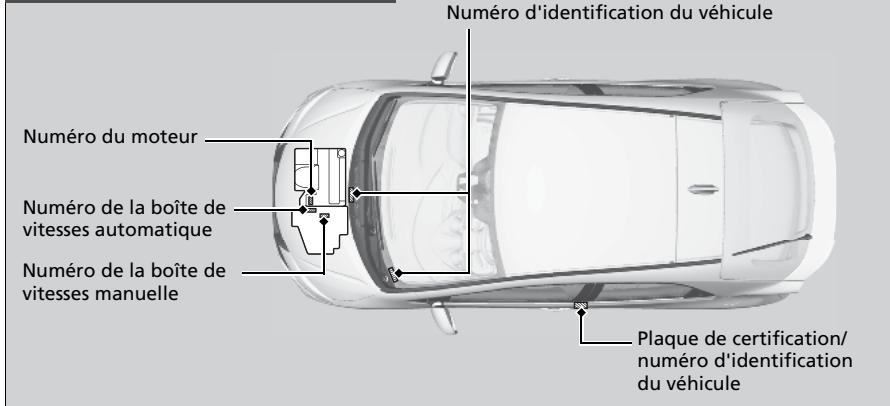 Honda Civic 9 Phase 1 (2012-2015) - Numero d'identification du vehicule (VIN), numero de moteur et numero de la transmission - 2