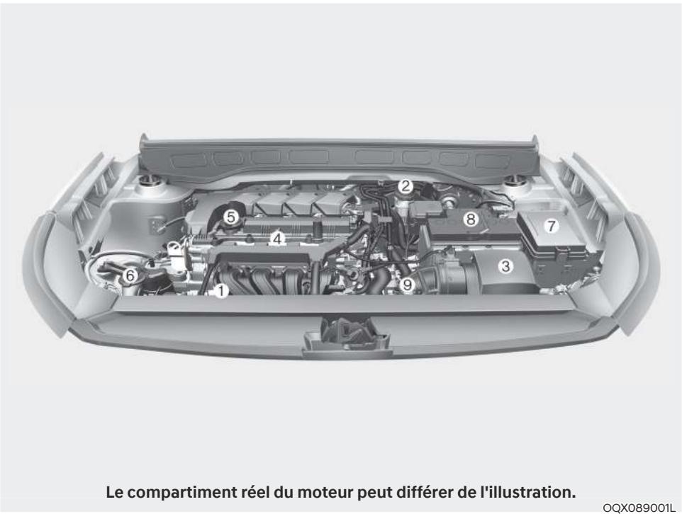 HYUNDAI Venue QX (2019) - COMPARTIMENT MOTEUR - 1
