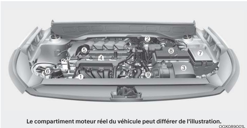 HYUNDAI Venue QX (2019) - COMPARTIMENT MOTEUR - 1
