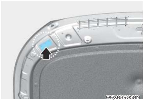 HYUNDAI Venue QX (2019) - AVERTISSEMENT - 2