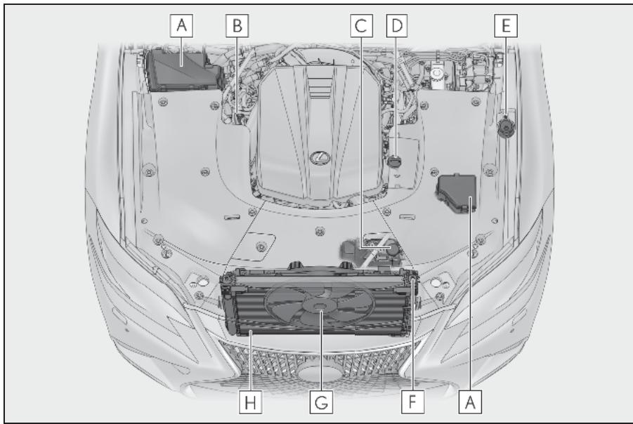 LEXUS LS XF50 Phase 1 (2017-2020) - Composants - 2
