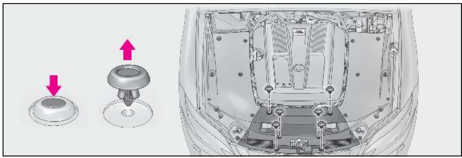LEXUS LS XF50 Phase 1 (2017-2020) - Cache du compartmente moteur - 3