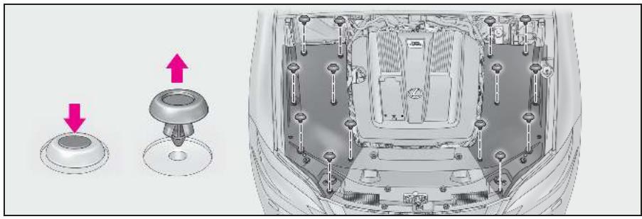 LEXUS LS XF50 Phase 1 (2017-2020) - Cache du compartmente moteur - 1