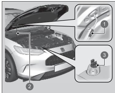 Honda ZR-V (2022) - REMARQUE - 1