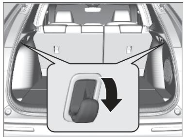 Honda ZR-V (2022) - Crochets à bagages - 1