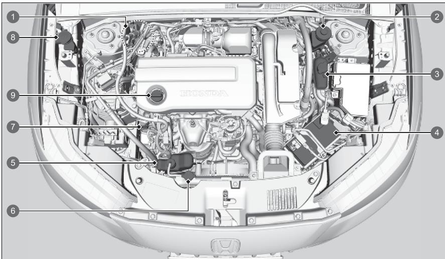 Honda ZR-V (2022) - Eléments d'entretien sous le capot - 1