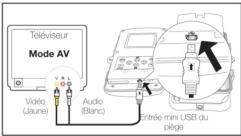 OPTEX 990460 CAM460 - 9.2) Connexion à votre téléviseur - 1