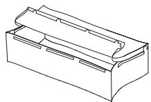 BLOOMA CALYANTA - 12