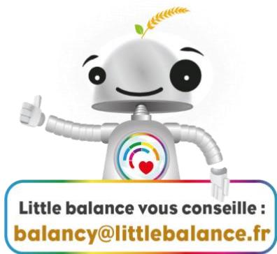 LITTLE BALANCE 8653 - Avertissement et précautions relativement aux piles (modèles à chargement USB non concernés) - 2