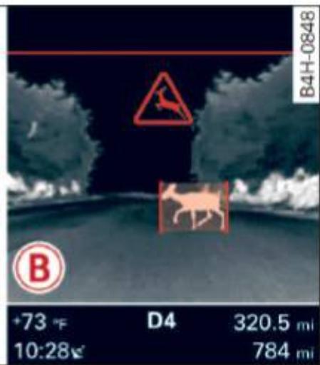 AUDI A6 C7 (2016) - Alerte de piétons et d'animaux - 2