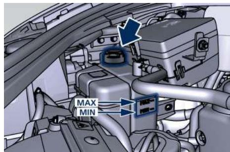 Maserati Levante - Vérification du niveau du liquide de refroidissement - Moteur diesel - 1