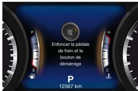 Maserati Levante - IMPORTANT! - 1