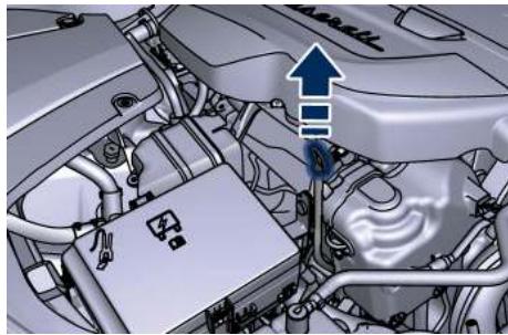Maserati Levante - IMPORTANT! - 1