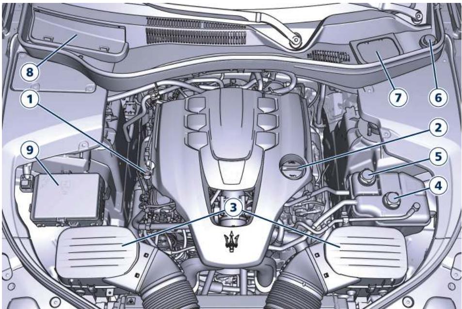 Maserati Levante - Composants de la maintenance - Moteurs essence - 1