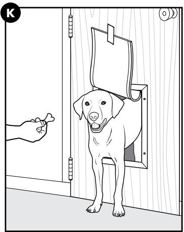 PETSAFE 00729849157941 - Dresser votre animal de compagnie - 1