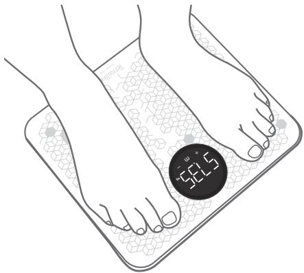 TERRAILLON POWERMASSAGER - Conseils : - 1