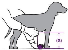 PETSAFE Staywell - Outils nécessaires - 2