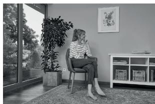 WAGNER SteamForce - Inspiration d'un genre unique - 1