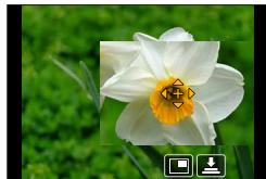 PANASONIC DCFZ82 - FCFZ81 - DCFZ83 - Lors de la selection de [+] - 1