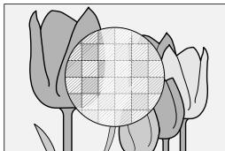 FUJIFILM X100V - Assistance M/AP. - 3