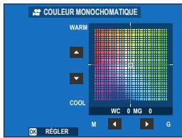 FUJIFILM X100V - COULEUR MONOCHOMATIQUE - 2