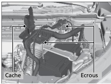 Honda CRV (2015-2017) - Remplacement de la batterie - 1