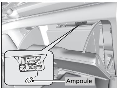 Honda CRV (2015-2017) - Ampoule de la boîte à gants\* - 2