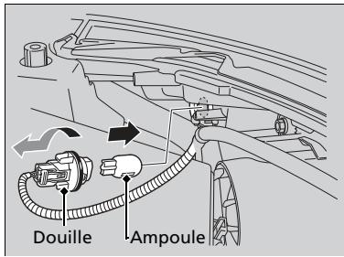 Honda CRV (2015-2017) - Ampoules de clignotants avant - 1