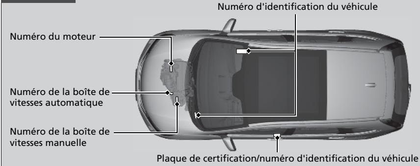 Honda CRV (2015-2017) - Numéro d'identification du véhicule (VIN), numéro de moteur et numéro de transmission - 2