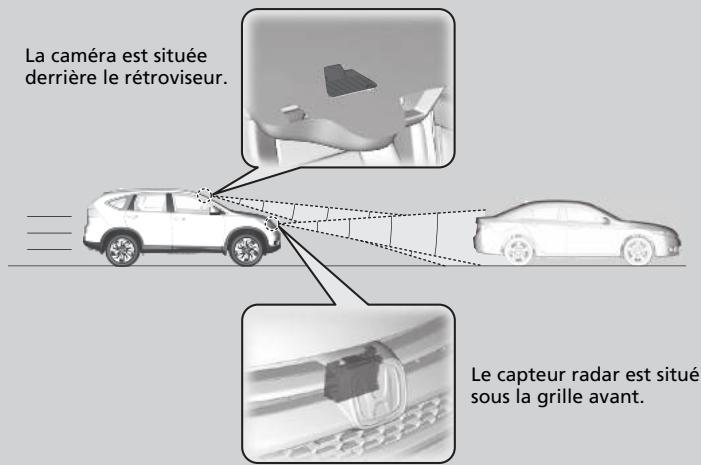 Honda CRV (2015-2017) - Régulateur de vitesse adaptatif (ACC)\* - 1