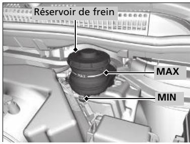 Honda CRV (2015-2017) - Contrôle du liquide de frein - 1