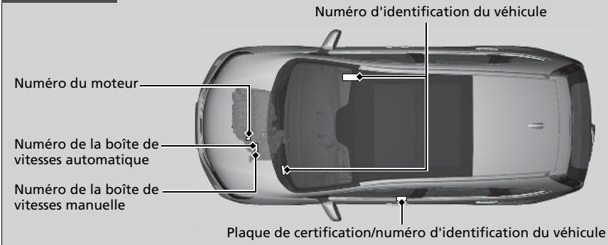 Honda CRV (2015-2017) - Numéro d'identification du véhicule (VIN), numéro de moteur et numéro de transmission - 1