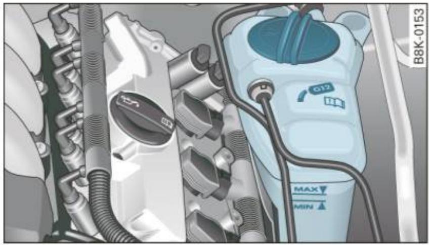 AUDI A4 (2010) - Vérification du niveau de liquide de refroidissement - 1