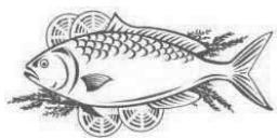 THOMSON THD254NFWH - Poisson et fruits de mer - 2