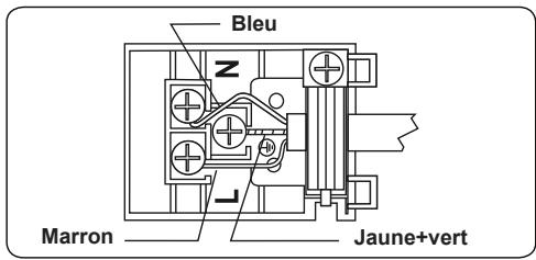 Bleu Z J Marron Jaune+vert
