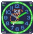 ICE-WATCH ICE SMART JUNIOR 2.0 - INSTRUCTIONS D'UTILISATION - 12
