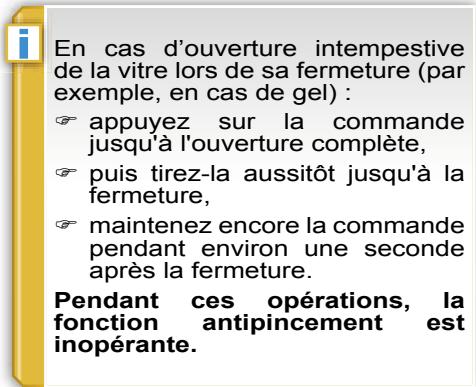 PEUGEOT 207 - Antipuncture - 1