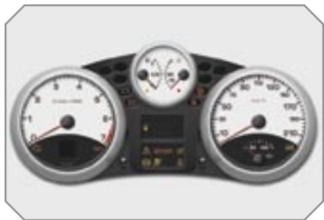 PEUGEOT 207 - Témoins - 1