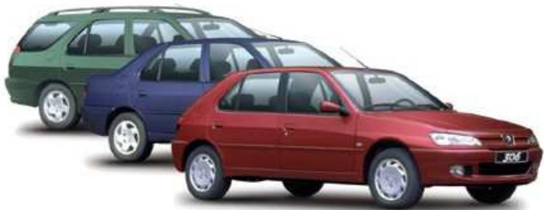 PEUGEOT 306 - Les elements d'identification de votre 306 - 1