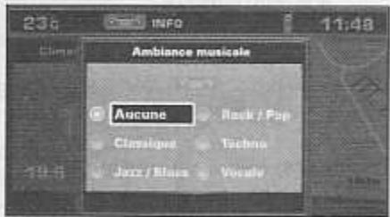 PEUGEOT 407 - Ambiances musicales - 1
