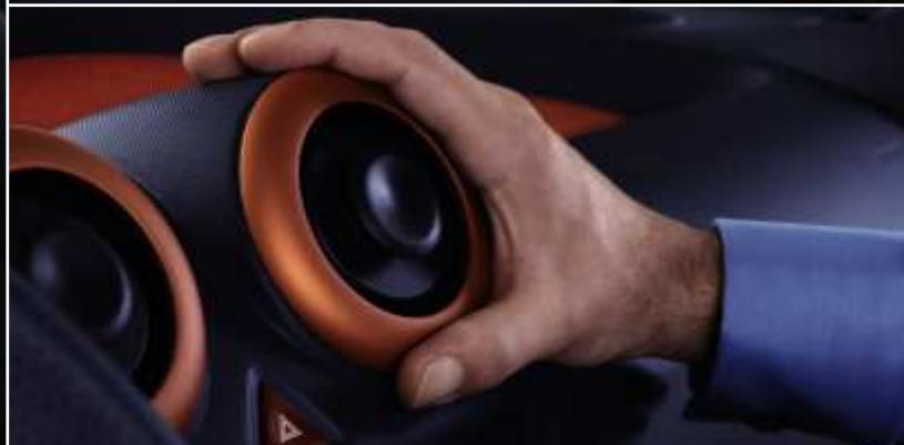 PEUGEOT 1007 - Portes sésame - 5