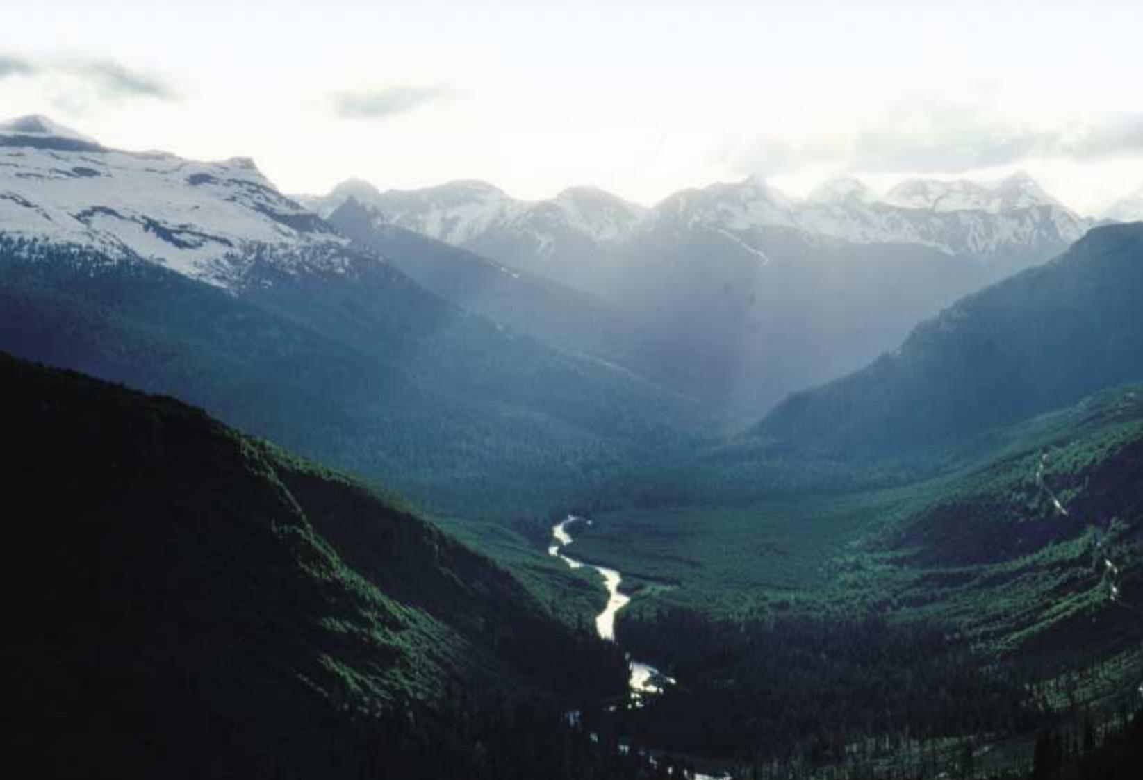 PEUGEOT 1007 - Moteurs - 1