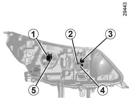 RENAULT LATITUDE - Projecteurs avant halogène : remplacement des lampes - 2