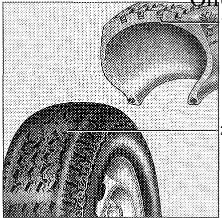 RENAULT SAFRANE - Enjoliveurs - roues - 1