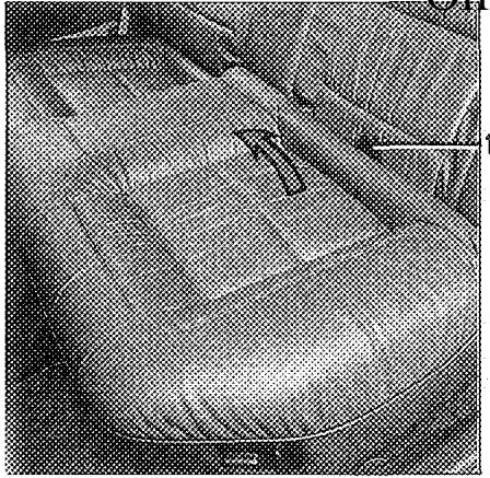 RENAULT SAFRANE - Sécurité infant - 1