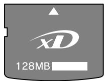 EPSON STYLUS DX6050 - Insertion de la carte mémoire - 4