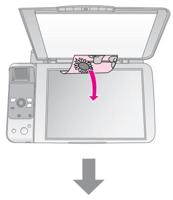 EPSON STYLUS DX6050 - Mise en place des documents originaux sur la vitre d'exposition - 1