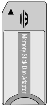EPSON STYLUS DX6050 - Insertion de la carte mémoire - 10