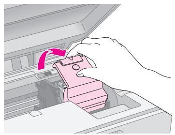 EPSON STYLUS DX6050 - Important : - 2